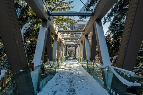 Verschneite Brücke am Nationalparkzentrum
