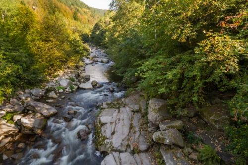 Foto eines naturnahen Murgabschnitts