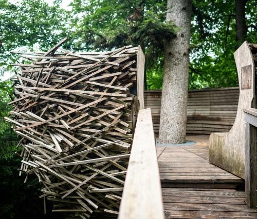 Adlerhorst am Wildnispfad