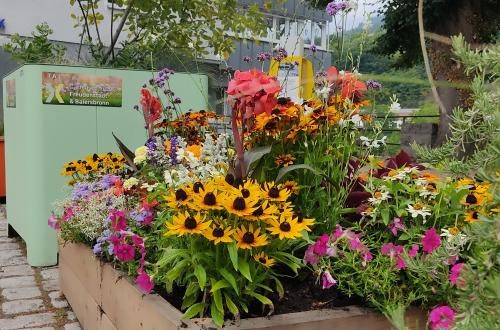 Blumeninsel als Teil der temporären Umgestaltung